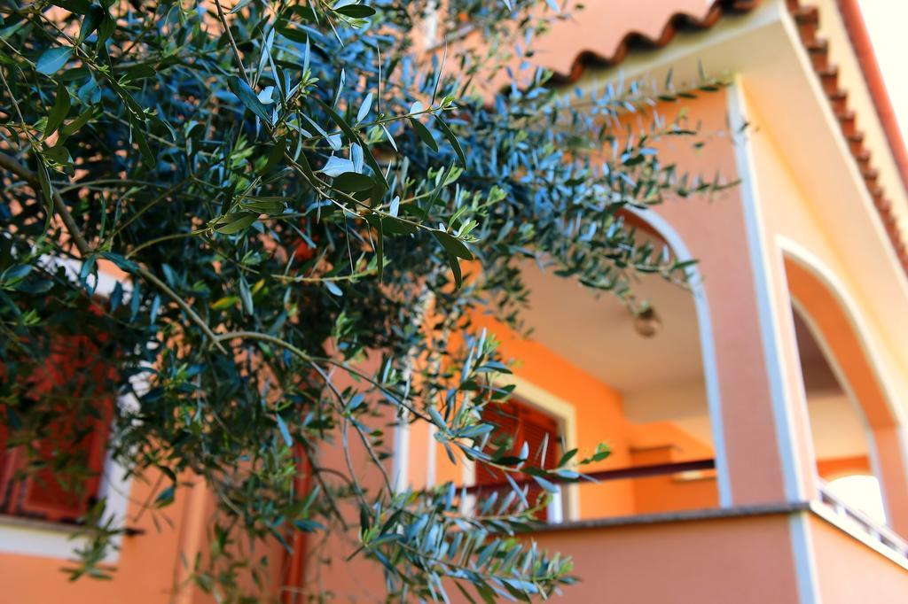 Apartments Zdjelar Poreč Eksteriør billede